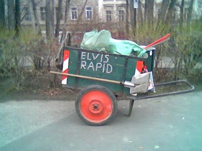 elvis rapid